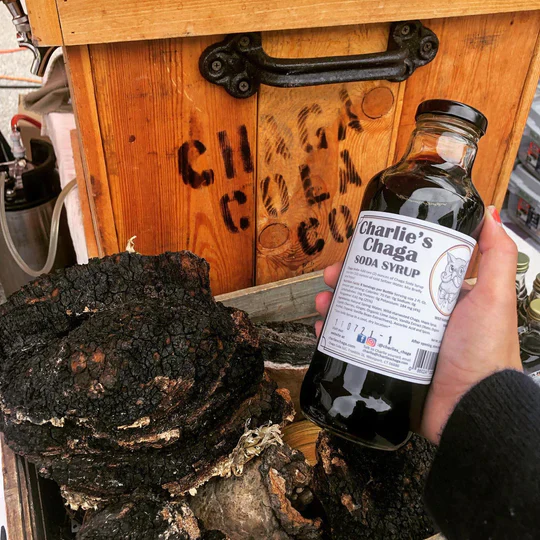 chaga_chunk